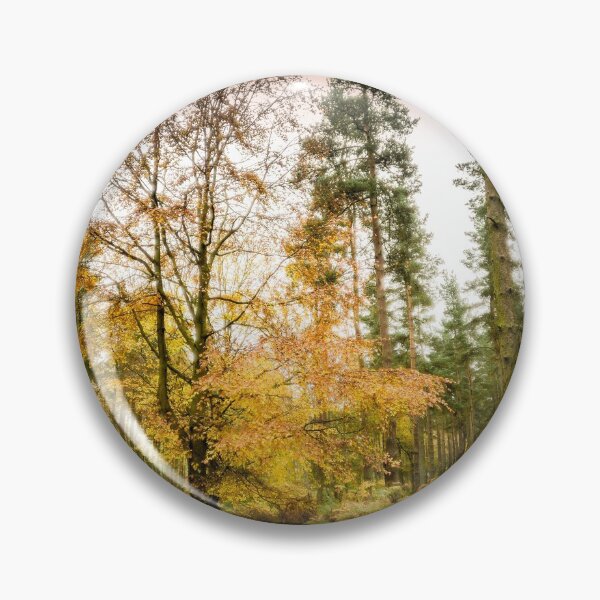 Item preview, Simonside Forest Walk in Autumn designed and sold by xperienceNE.
