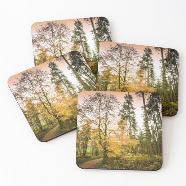 Item preview, Simonside Forest Walk in Autumn designed and sold by xperienceNE.