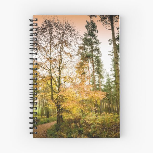 Item preview, Simonside Forest Walk in Autumn designed and sold by xperienceNE.