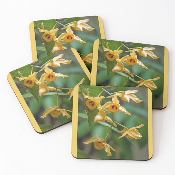 Item preview, Here's looking at you! designed and sold by Kerryn Madsen-Pietsch.