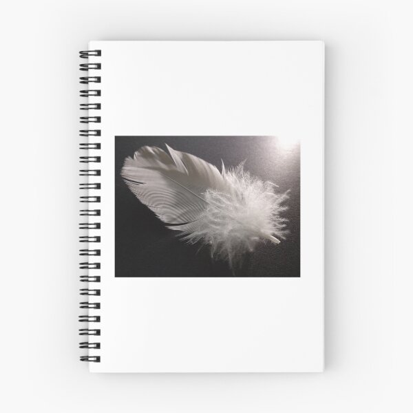 Item preview, Soft White Feather by Tiffany Davies designed and sold by CastlemaineMS.