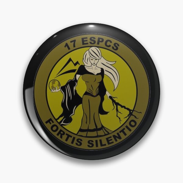 Item preview, 17th Expeditionary Space Control Squadron designed and sold by WarGear.