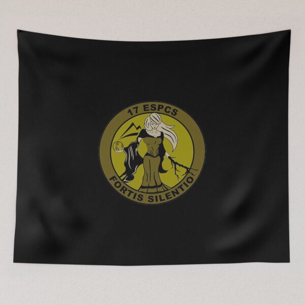 Item preview, 17th Expeditionary Space Control Squadron designed and sold by WarGear.