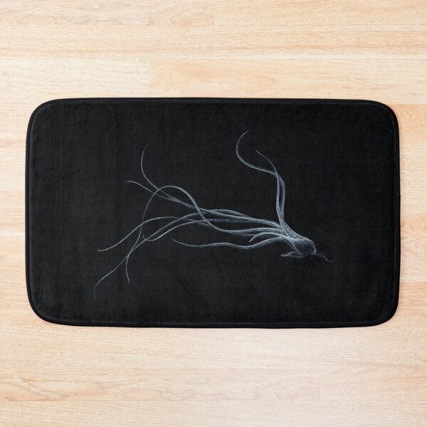 Item preview, Air plant. Tillandsia on black. Hand drawn illustration. designed and sold by Antonina Sotnikova.