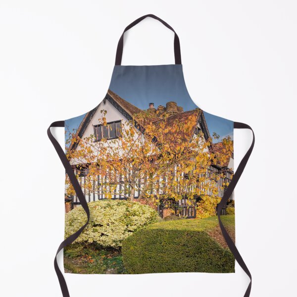 Item preview, 1621 designed and sold by JEZ22.