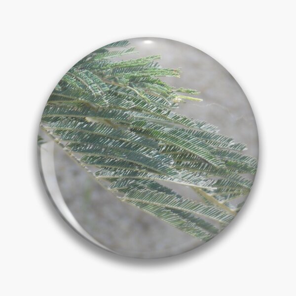 Item preview, Fern Leaves designed and sold by Naomi80.