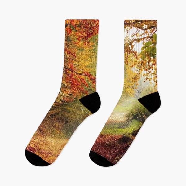 Item preview, Fall Season Colorful Forest designed and sold by stareongroup.