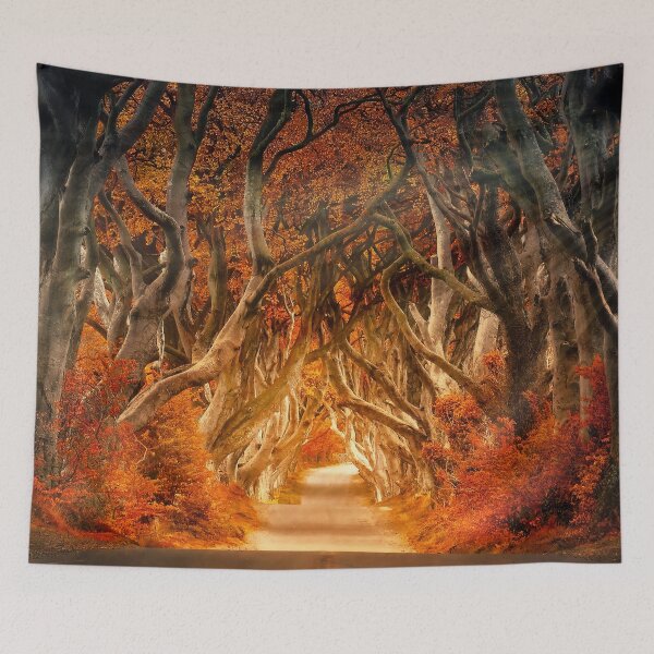 Item preview, Dark Hedges Armoy designed and sold by stareongroup.