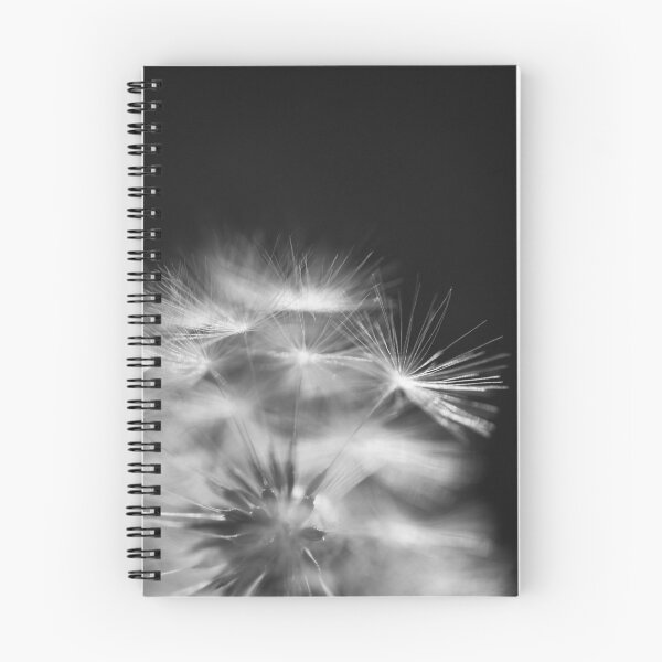 Item preview, Dandelion detail designed and sold by AYatesPhoto.