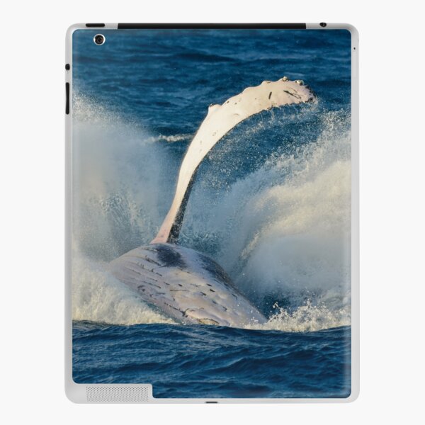 Humpback whale breaching iPad Skin