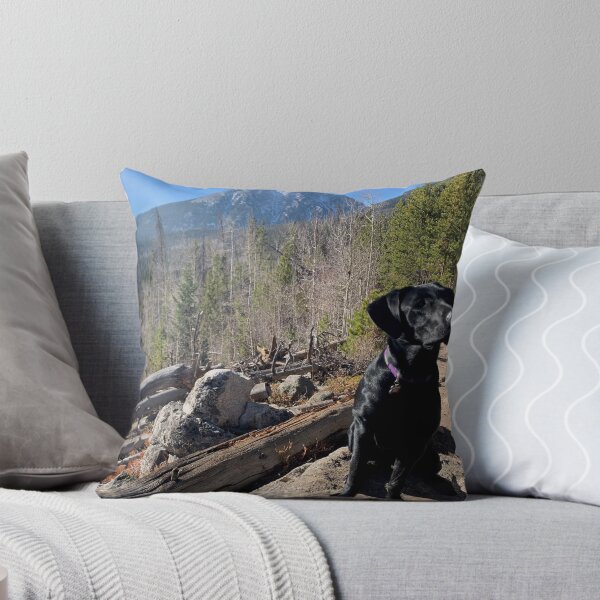 Item preview, Puppy missing the view designed and sold by obrie791.