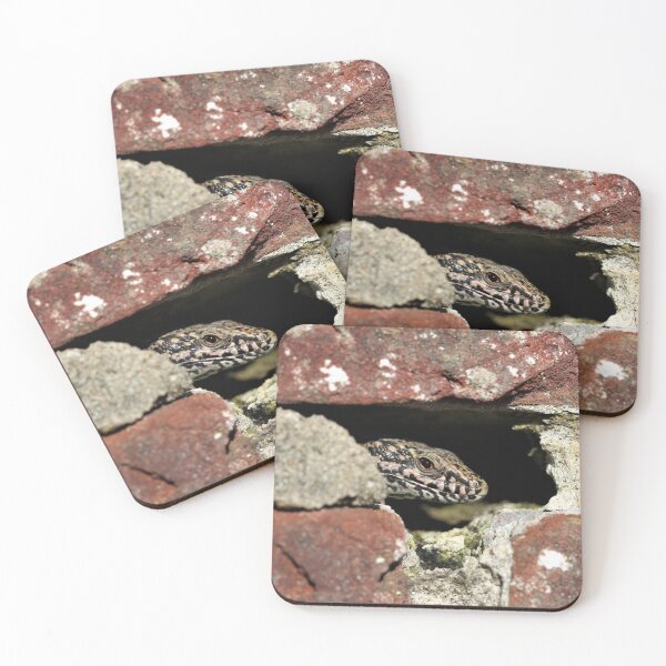 Item preview, Wall Lizard - Podarcis muralis designed and sold by Christian Moss.