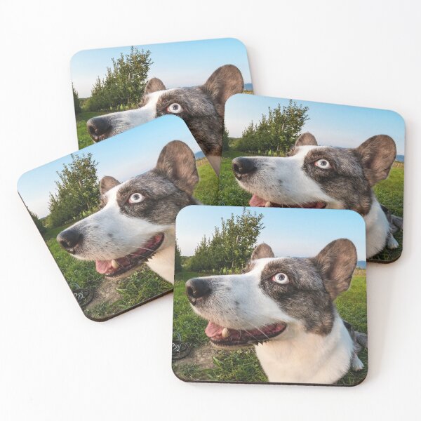 Item preview, Funny corgi dog photographed with a fishye lens designed and sold by Alexander Sorokopud.