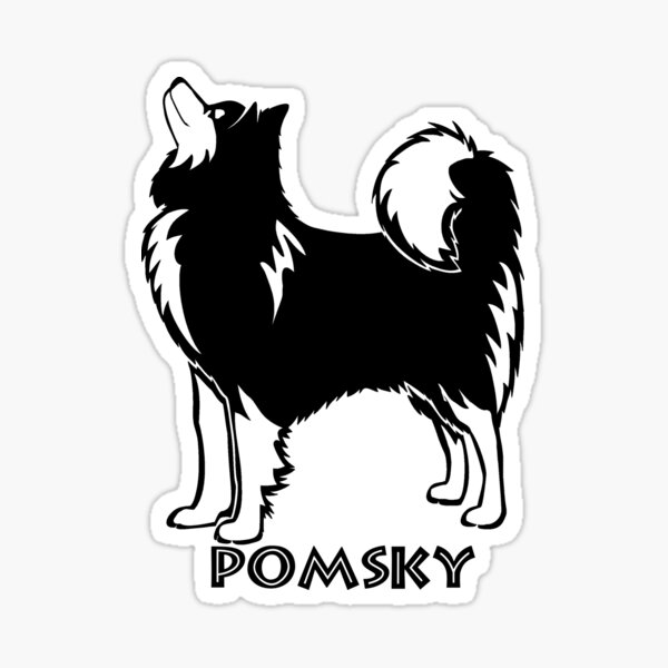 Pomsky Gifts & Merchandise for Sale | Redbubble