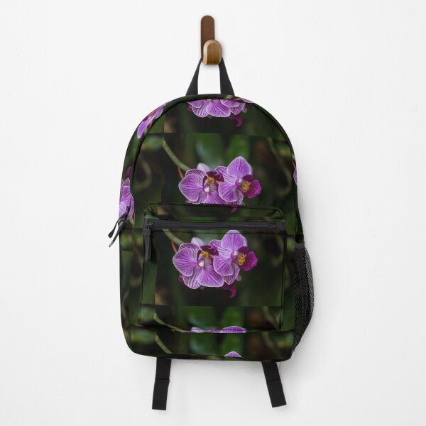 Item preview, Purple Striped Phalaenopsis designed and sold by mljdwhite.