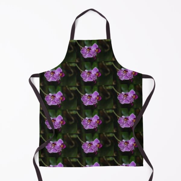 Item preview, Purple Striped Phalaenopsis designed and sold by mljdwhite.