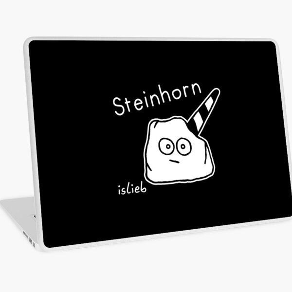 Steinhorn Laptop Folie