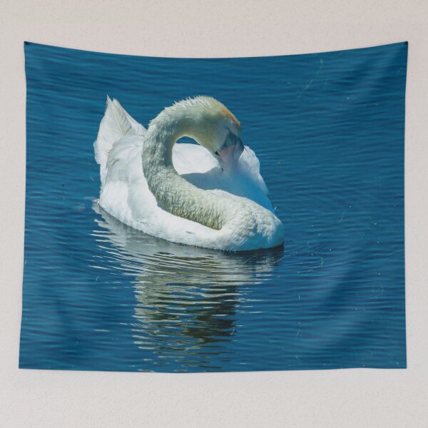 Item preview, Swan Neck designed and sold by Dalyndigital Photography.