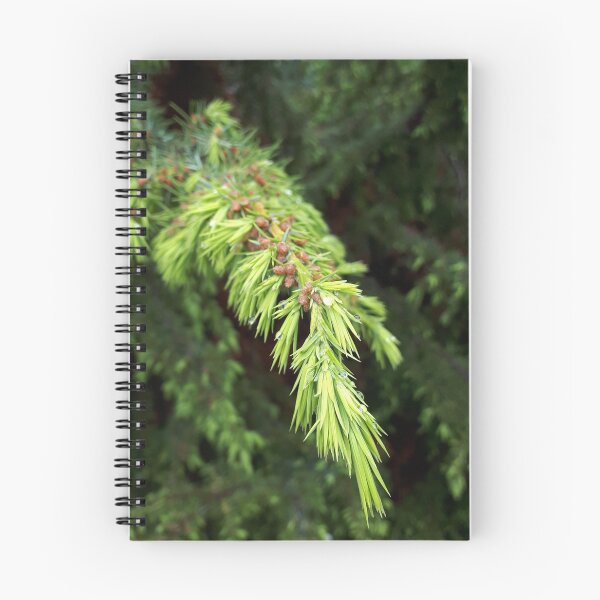 Item preview, The Branch of Life designed and sold by NatureBrushbyMariela.