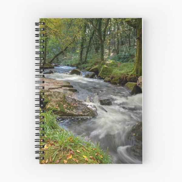 Item preview, Golitha falls Bodmin moor Cornwall designed and sold by eddiej.