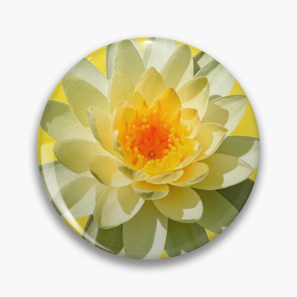 Item preview, White water lily isolated designed and sold by Martin Leber.