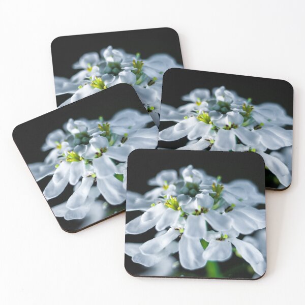 Item preview, White, Green, Black designed and sold by Monika Hylmarová.