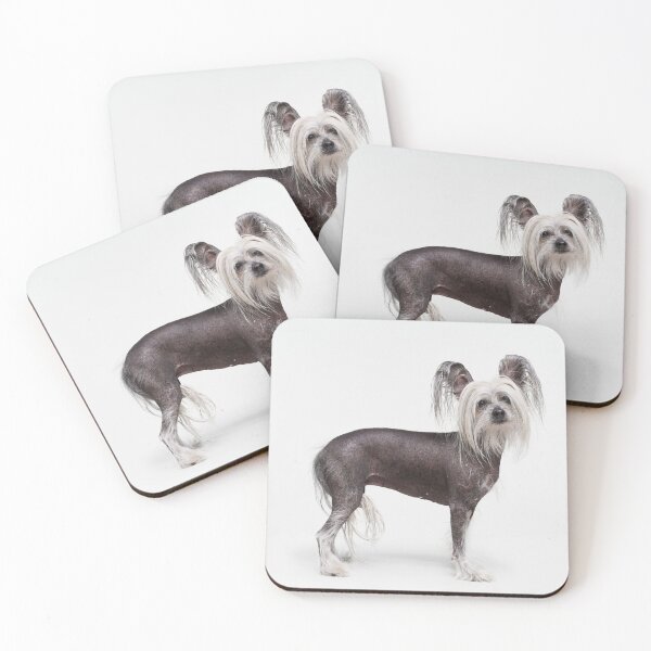 Item preview, Chinese Crested Dog - full body cute pets long hair  designed and sold by Coolstuff4you71.