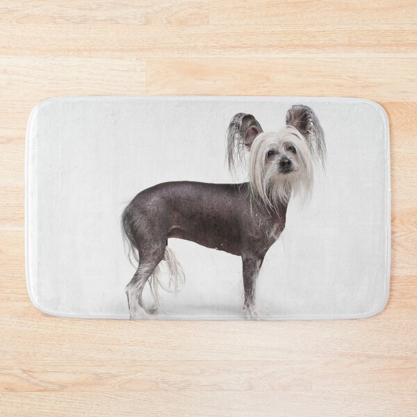 Item preview, Chinese Crested Dog - full body cute pets long hair  designed and sold by Coolstuff4you71.