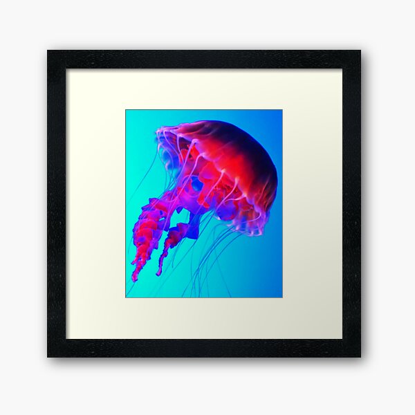Item preview, Jelly fish designed and sold by MuscleCarTs.