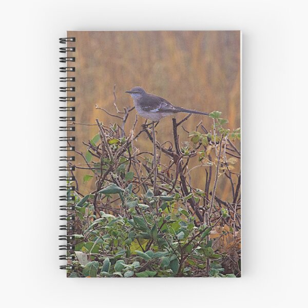 Item preview, Northern Mockingbird designed and sold by Nancy Richard.
