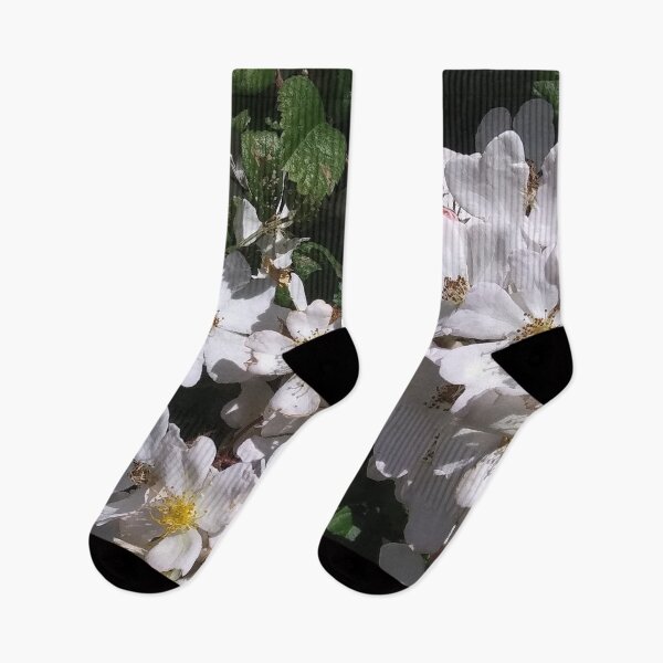 Item preview, Nootka Rose designed and sold by apptreasures.