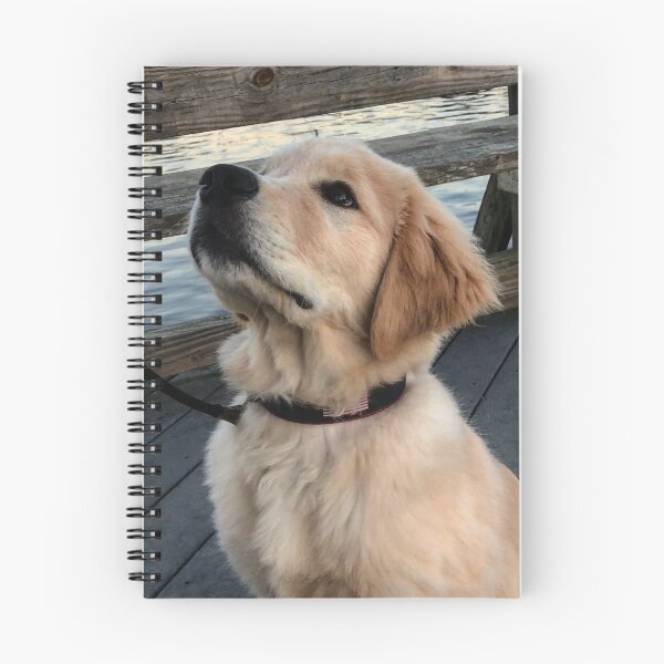 Item preview, Golden Days  designed and sold by JMVisuals28.