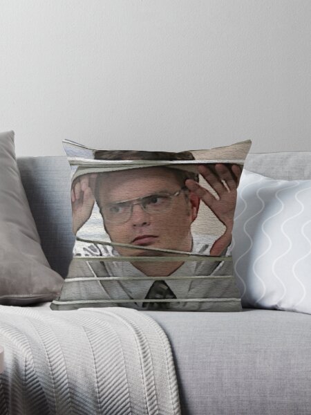 The Office Pillows Cushions for Sale Redbubble