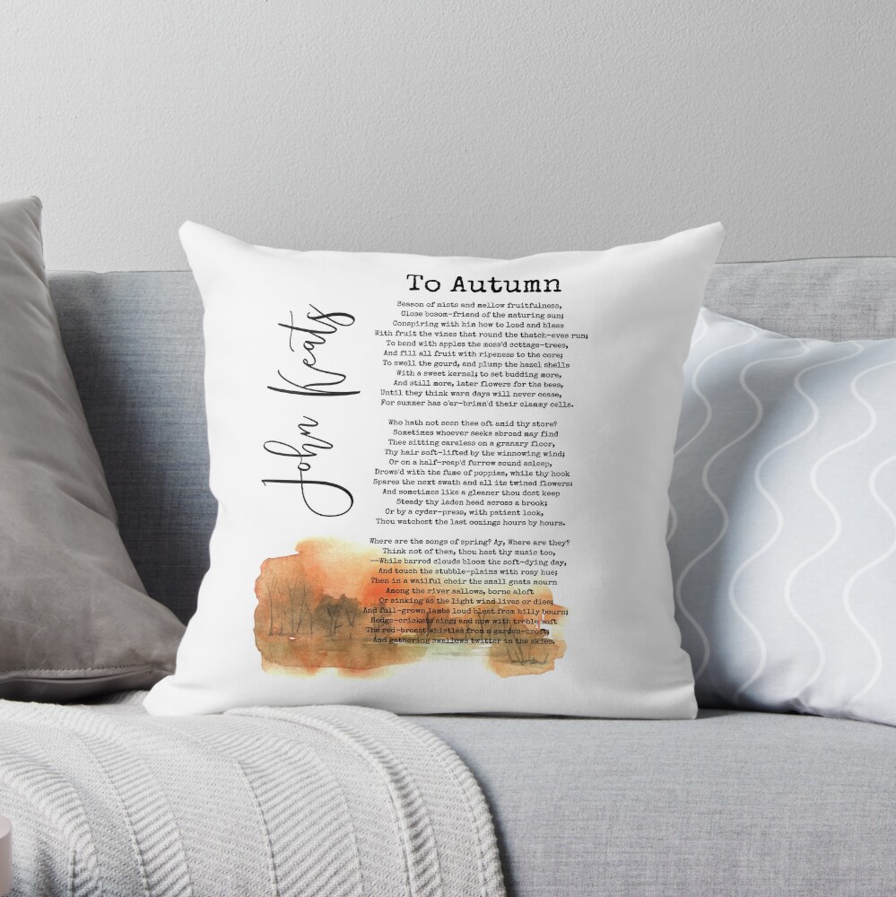 https://ih1.redbubble.net/image.1837010335.5212/throwpillow,small,1000x-bg,f8f8f8-c,0,200,1000,1000.u3.jpg