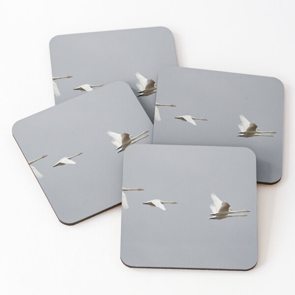 Item preview, The Little cousin. Tundra swan and Whooper swans designed and sold by Jouko Lehto Photography.
