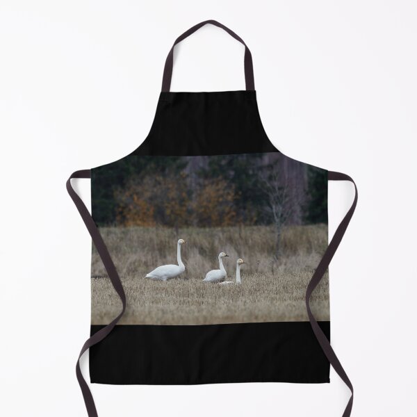 Item preview, Two to one size. Tundra swan and Whooper swans designed and sold by Jouko Lehto Photography.