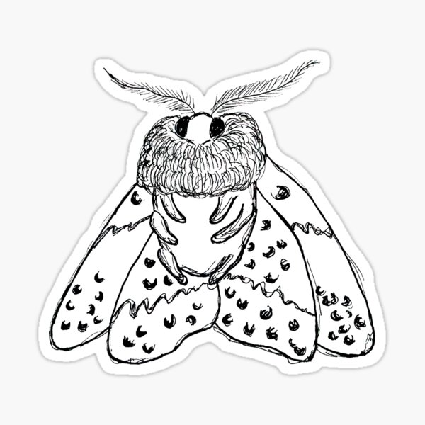 Download Chonky Moth Sticker By Ambariya Redbubble