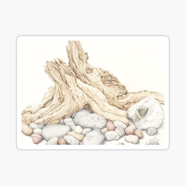 Driftwood and Pebbles Still Life Sticker