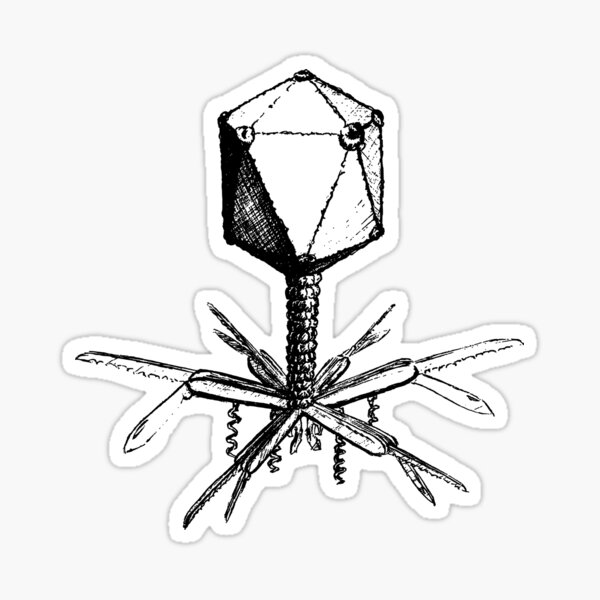 Fancy Sticker