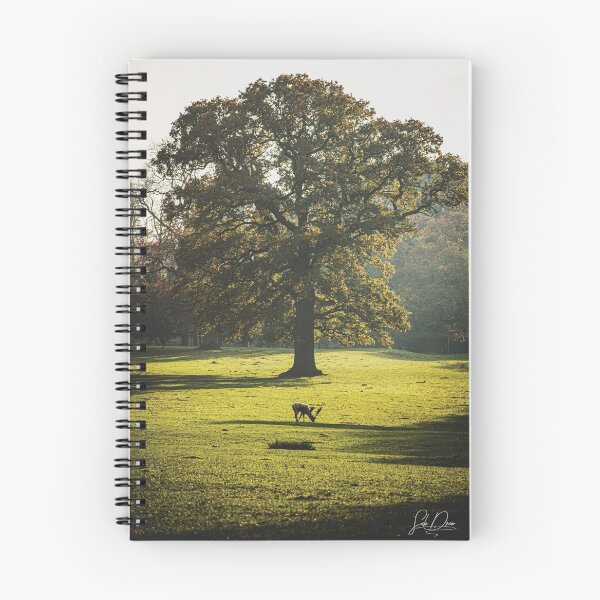 Item preview, Deer old tree designed and sold by sebdrew.