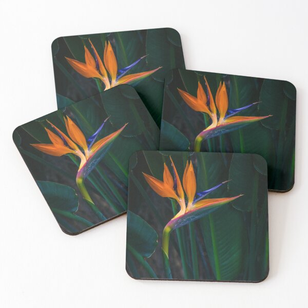 Item preview, Bird of Paradise designed and sold by alan shapiro.