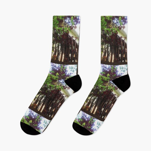 Item preview, Distinct Contrast, Colorful Garden, Nature Photography by Courtney Hatcher, Artist designed and sold by cghatcherart.