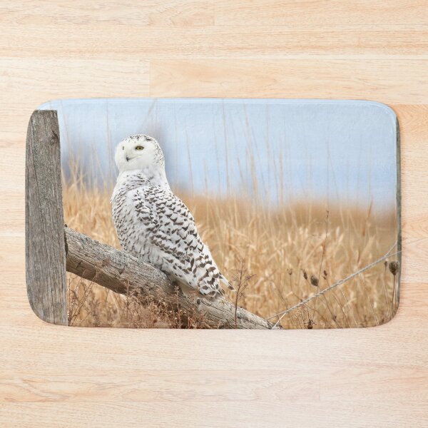 Item preview, Snowy owl in golden fields designed and sold by locustgirl.