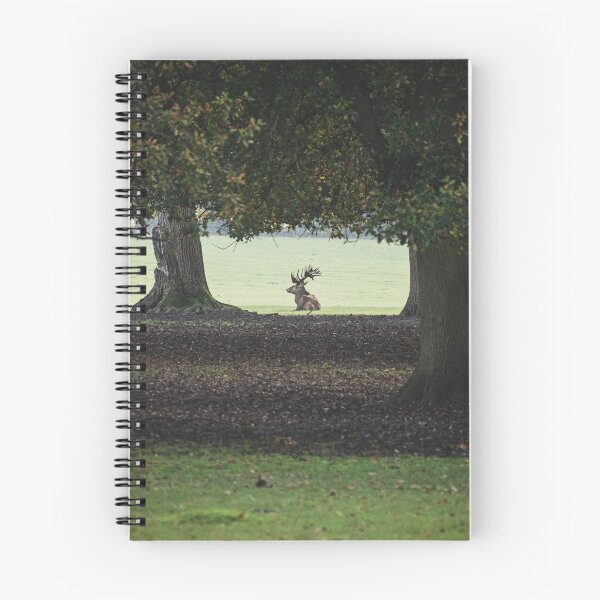 Item preview, Can't see the deer for the trees! designed and sold by sebdrew.