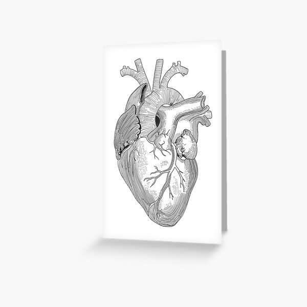 Anatomical heart - Art is Heart Stationery Cards by AdaLovesTheRain