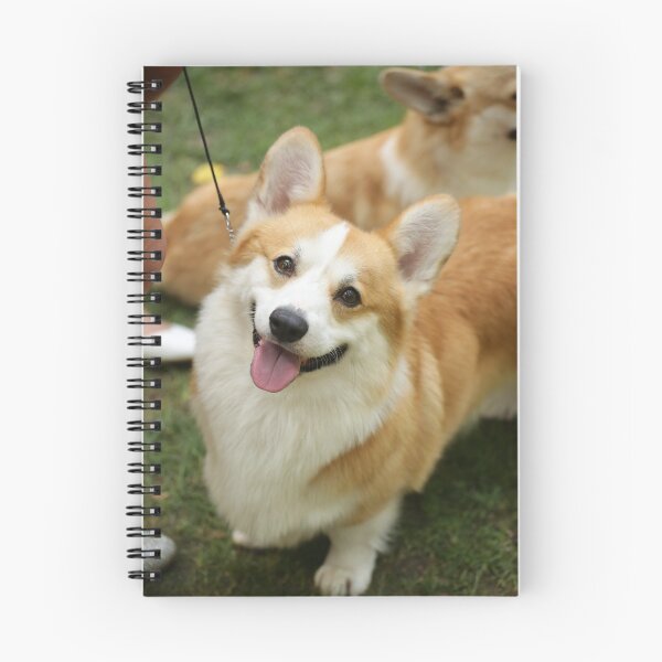 Item preview, Welsh corgi designed and sold by VanyA33.