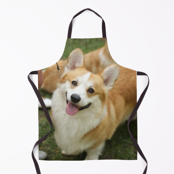 Item preview, Welsh corgi designed and sold by VanyA33.