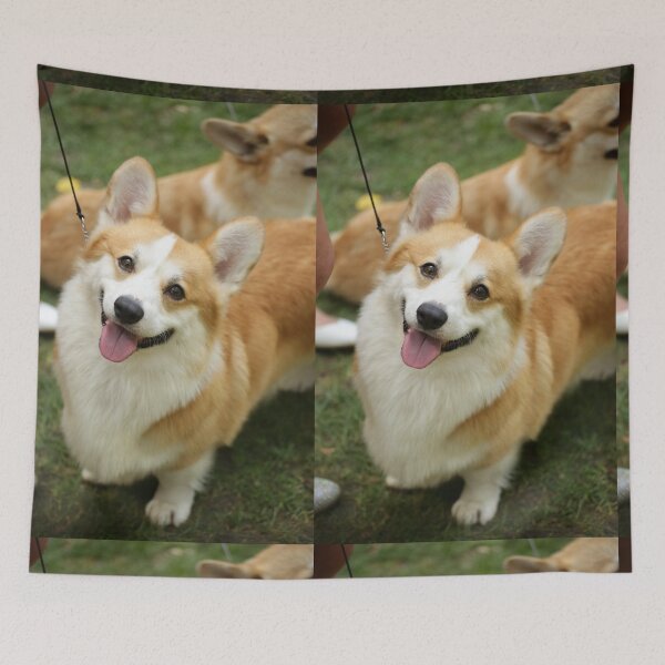 Item preview, Welsh corgi designed and sold by VanyA33.