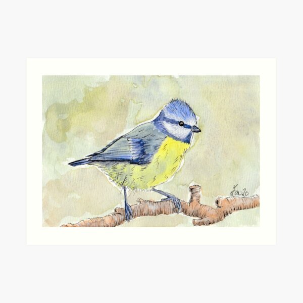 Little Blue Tit Sitting on Tree Branch Watercolour Art Print