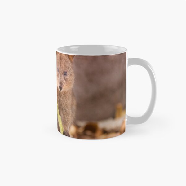 Item preview, Western Australian endangered Quokka designed and sold by Marc Russo.